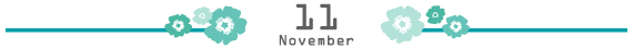 2011/11